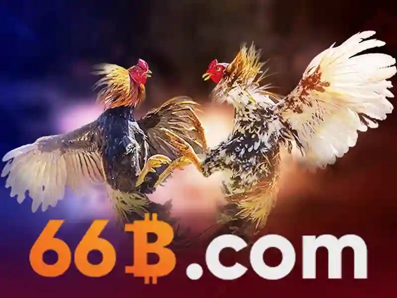 66b..com – Tổng quan và hành trình phát triển