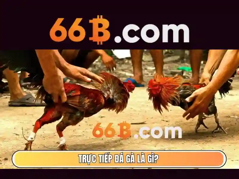 Khám phá 66b: mô hình ngôn ngữ 66 tỷ tham số