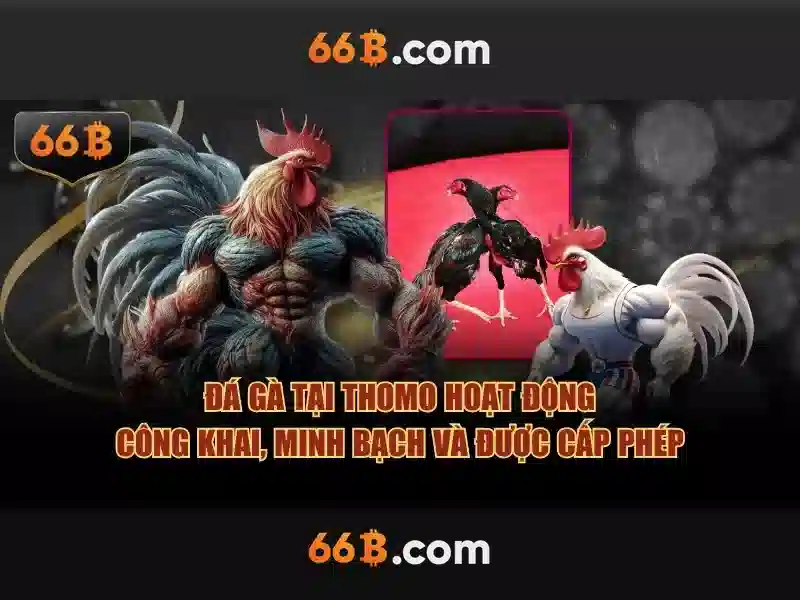 66b: Khái niệm, Ứng dụng và So sánh