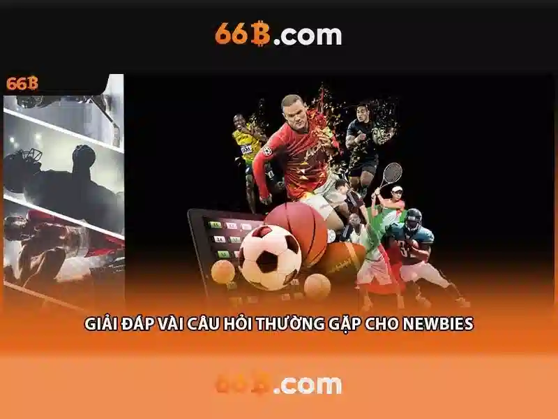 66b: khái niệm và ứng dụng trong công nghệ hiện đại