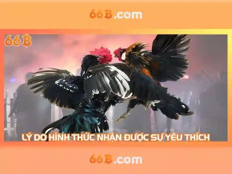 66b: Khám phá mô hình ngôn ngữ 66b và những gì cần biết