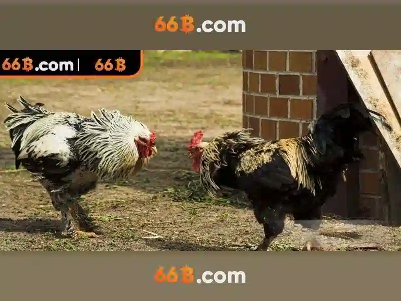 66b: Mô hình ngôn ngữ lớn và ứng dụng của nó