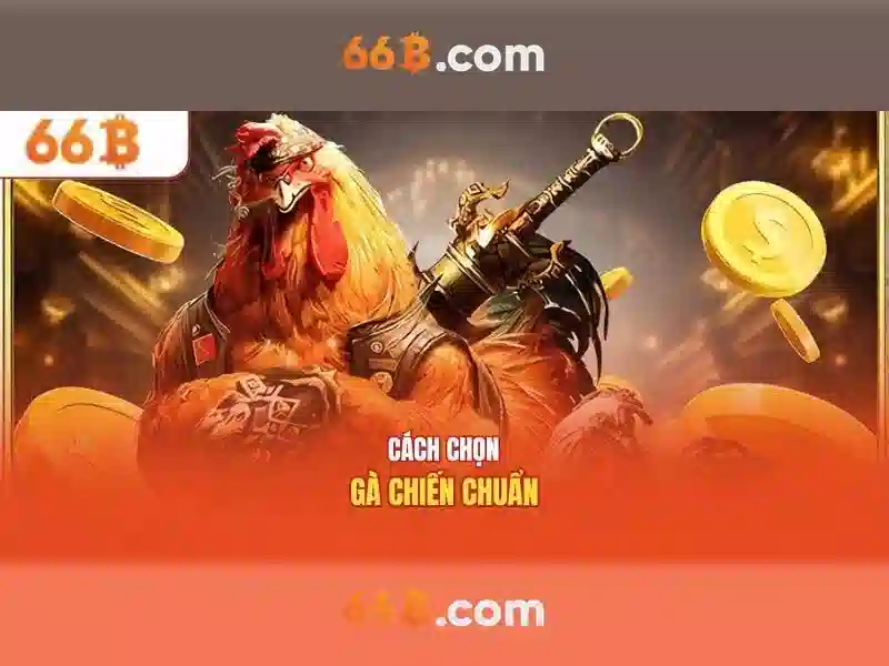 66b: Tổng quan và tiềm năng