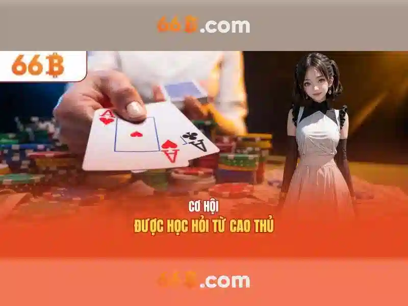 66b: khái niệm, lịch sử và tác động