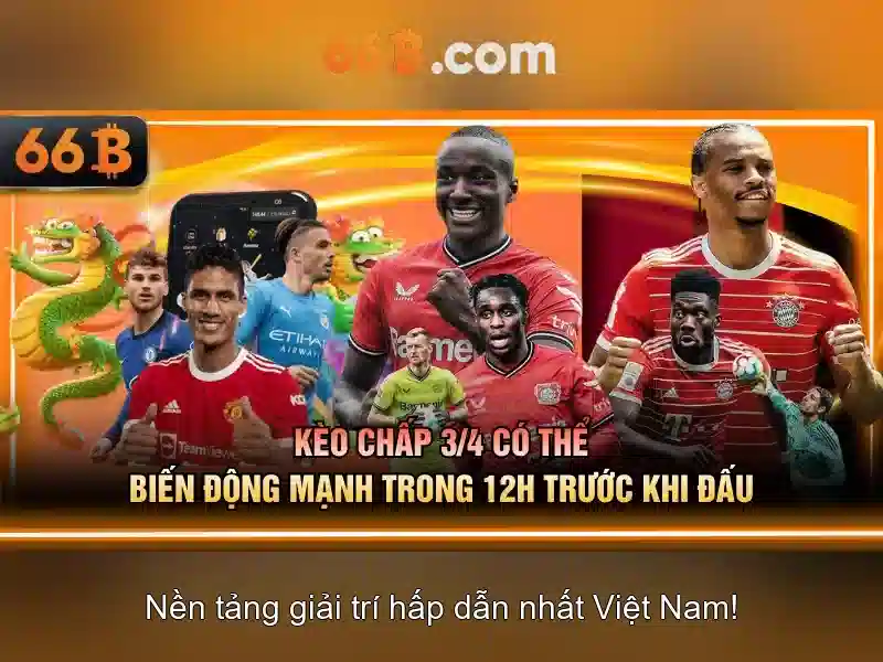 66b: Hiểu biết và ảnh hưởng