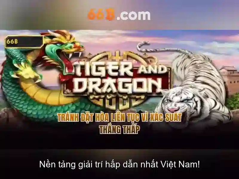 66B: Nền tảng AI với 66 tỷ tham số