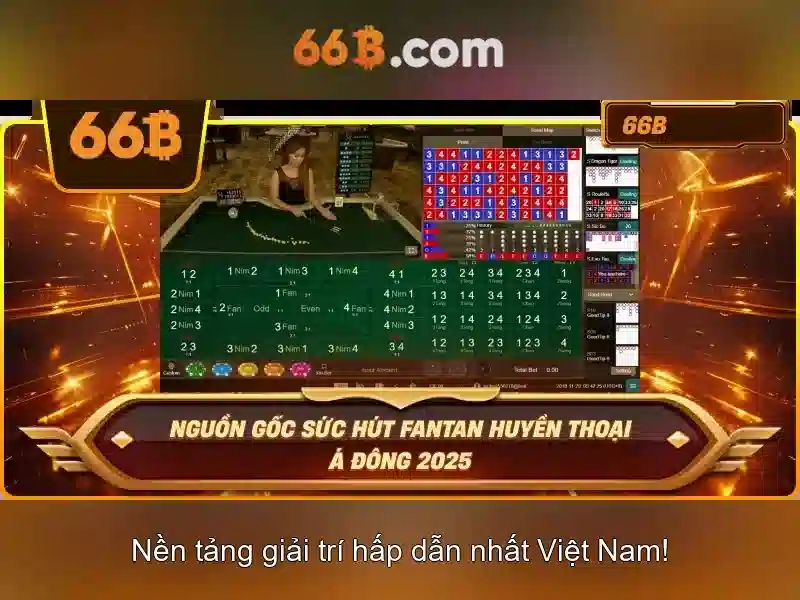 66b phường 15 quận tân bình: thương hiệu và trải nghiệm