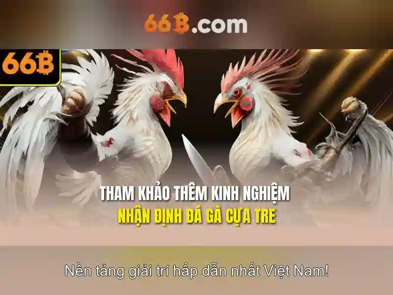 66B: Mô hình ngôn ngữ 66B và những tiềm năng
