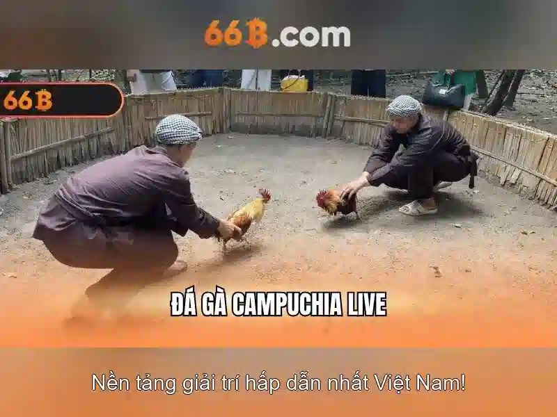 https://skeith.uk/images/text/66b/66b-text260331560.webp