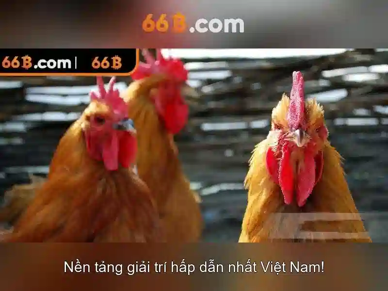 66B: Mô hình ngôn ngữ lớn và những ảnh hưởng của nó