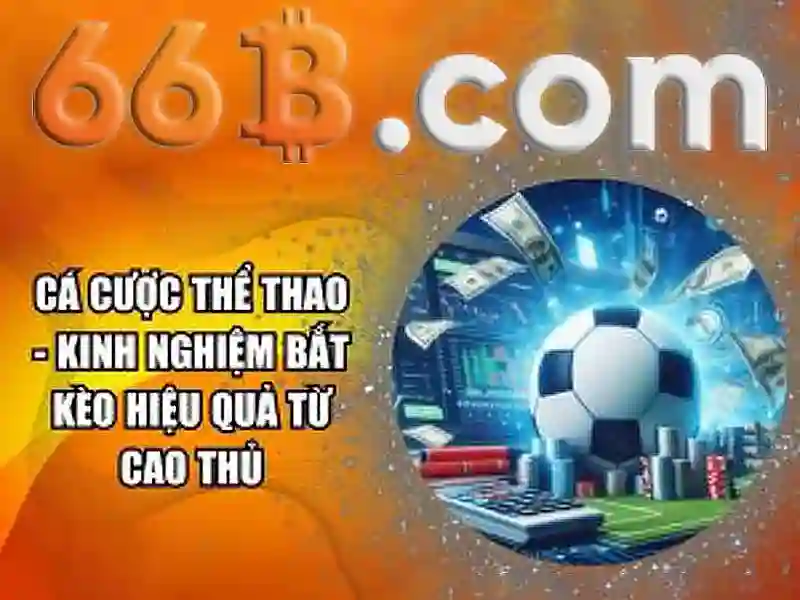 66b: một khái niệm số và hành trình công nghệ