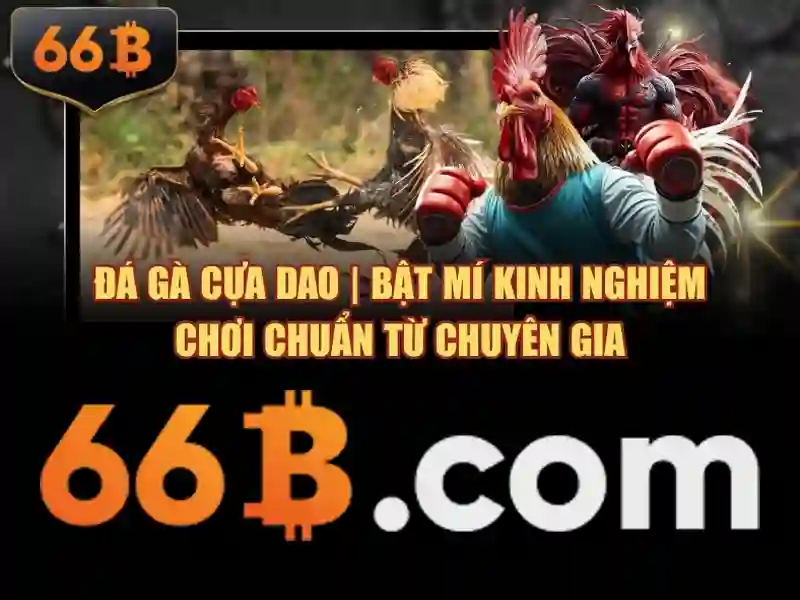 Biểu đồ quy trình liên kết giữa 66b và rut tien